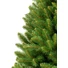 Kép 2/6 - Műfenyő - Kaukázusi Swierk - 250 Cm