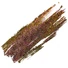 Kép 2/2 - Essaco Gél Lakk - Peacock - Cat Eye - 10 Ml - 001