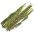 Kép 2/2 - Essaco Gél Lakk - Peacock - Cat Eye - 10 Ml - 002