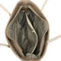 Kép 5/5 - Zellia Női Merev Válltáska Zvn22029 Beige
